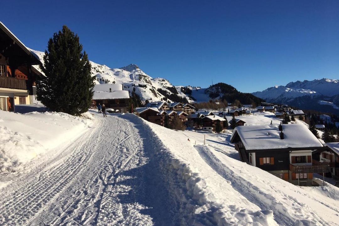 Photo of Others in Riederalp