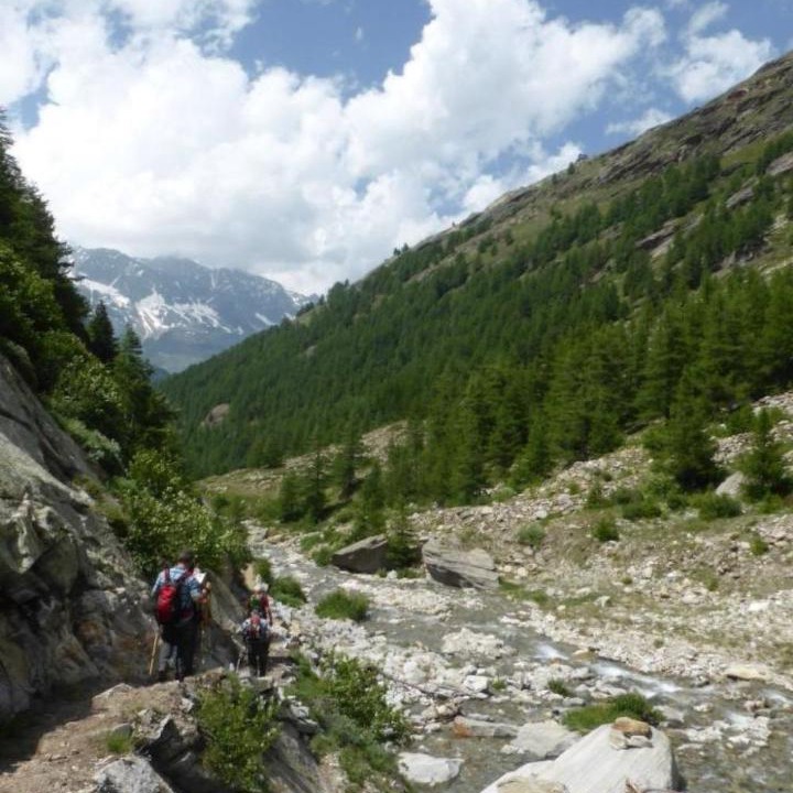 Photo of Others in Saas Almagell