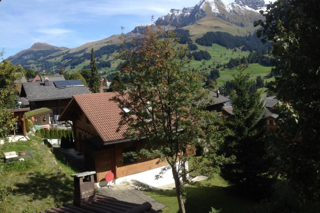 Photo of Others in Adelboden