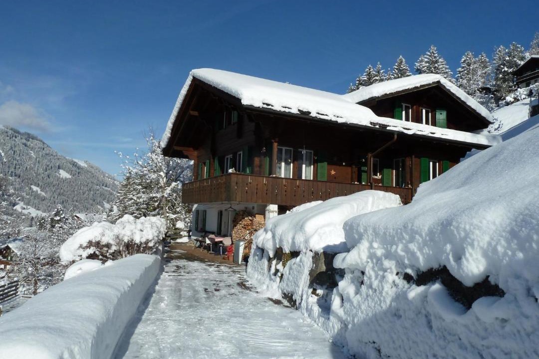 Photo of Others in Lenk