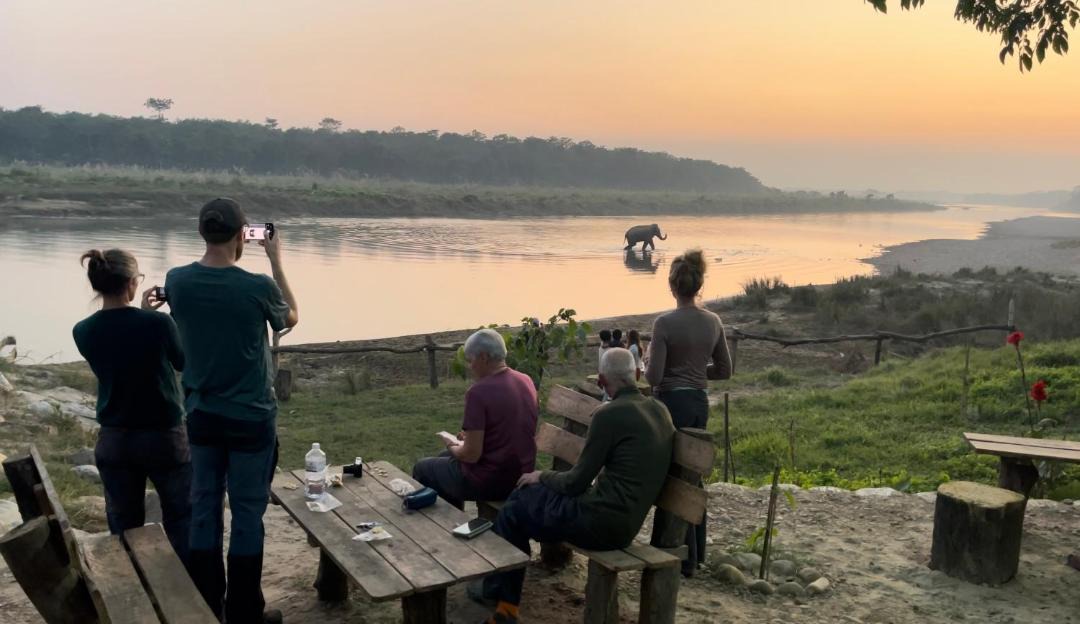 Photo of Others in Sauraha