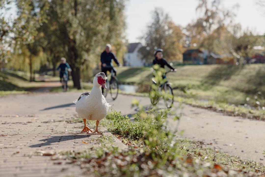 Photo of Others in Nordhausen