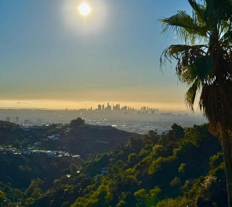 Photo of Others in Hollywood Hills West