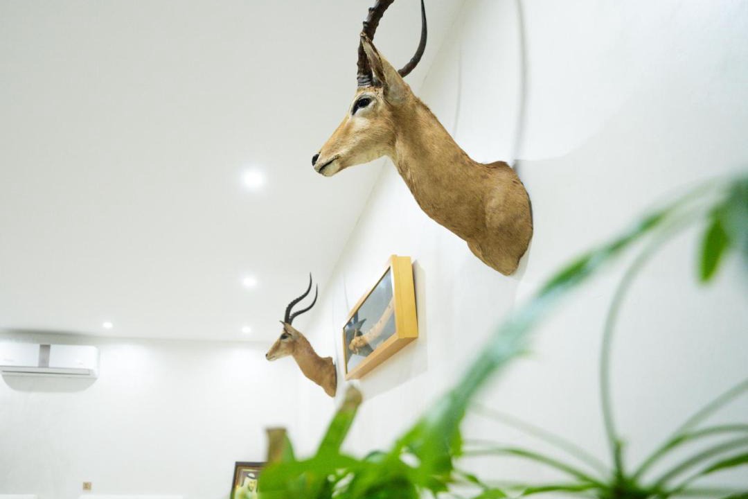 Photo of Others in Ajman