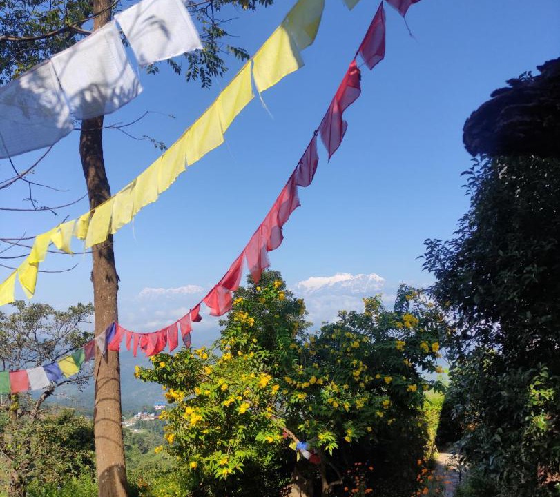Photo of Others in Bandipur