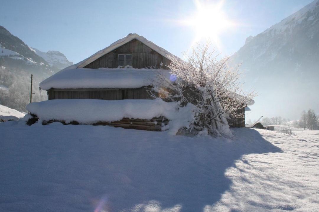 Photo of Others in Kandergrund