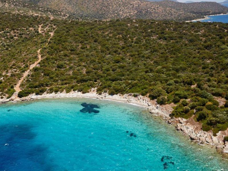 Photo of Others in Bodrum