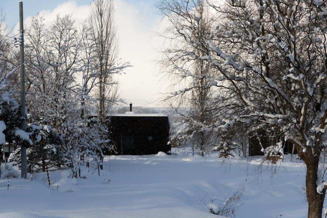 Photo of Others in Asahikawa