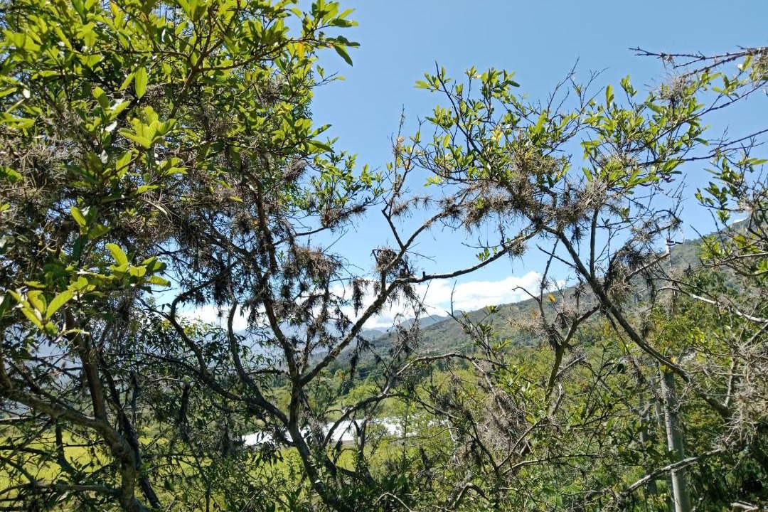 Photo of Outdoor in Soata