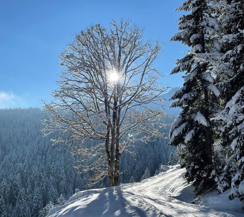 Photo of Others in Kirchdorf in Tirol