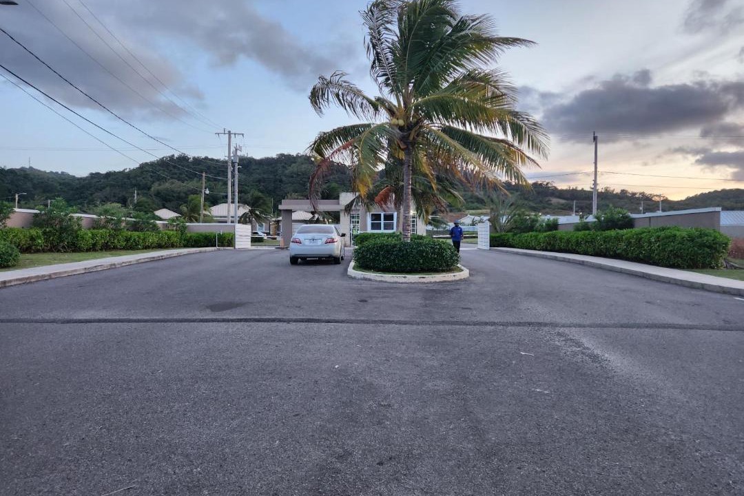 Photo of Others in Lucea