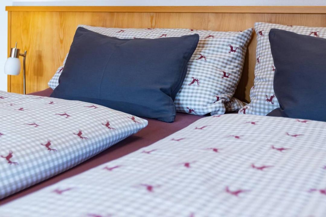 Photo of Bedroom in Trins
