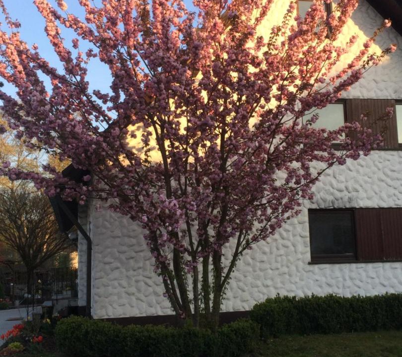 Photo of Outdoor in Mosbach