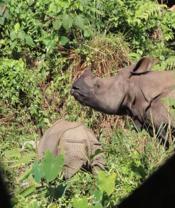 Photo of Others in Chitwan District