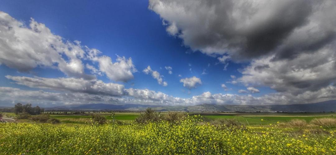 Photo of Others in Lehavot HaBashan