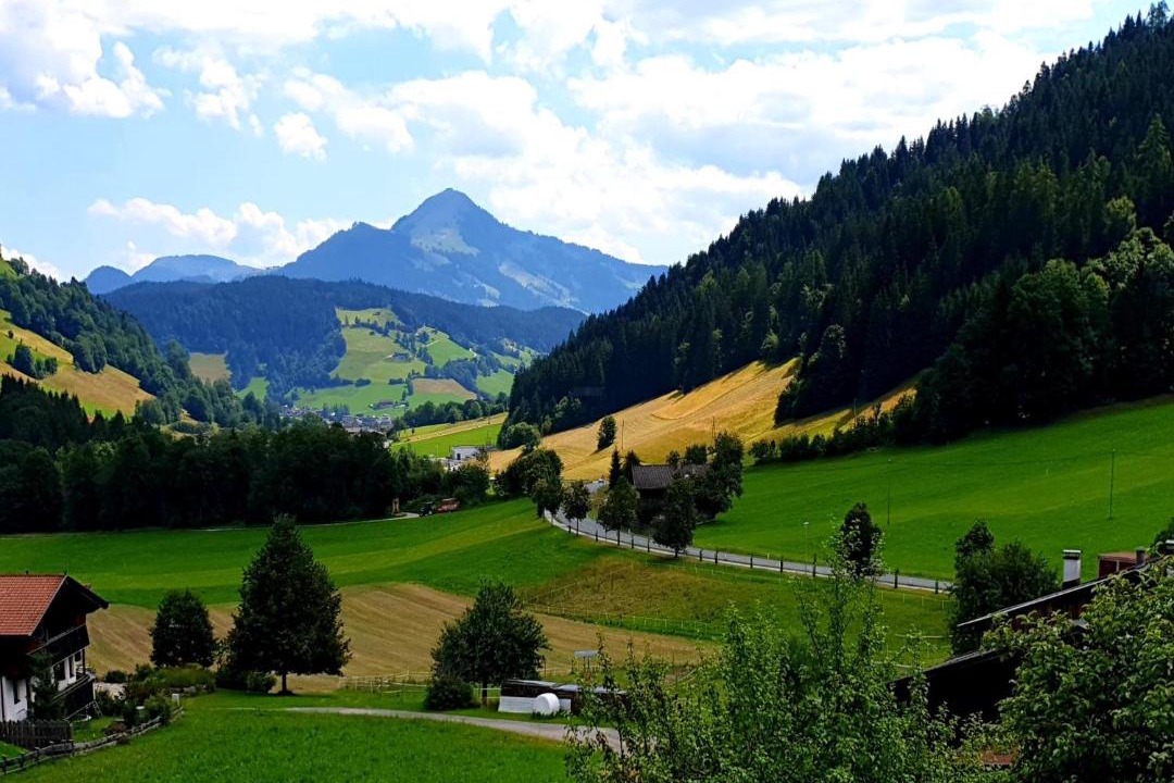 Photo of Others in Oberau