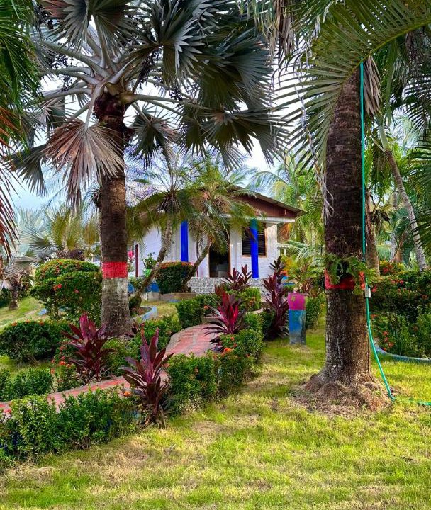 Photo of Others in Palomino