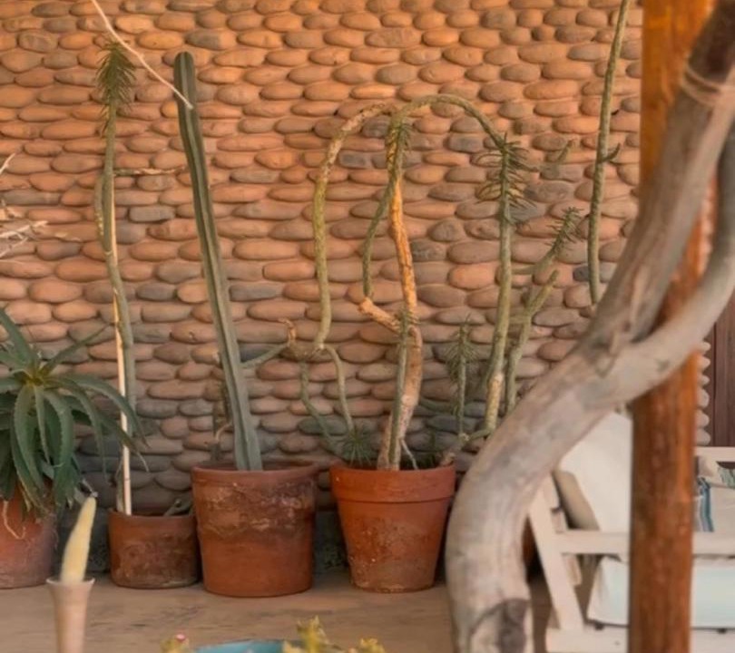 Photo of Others in San Pedro de Atacama