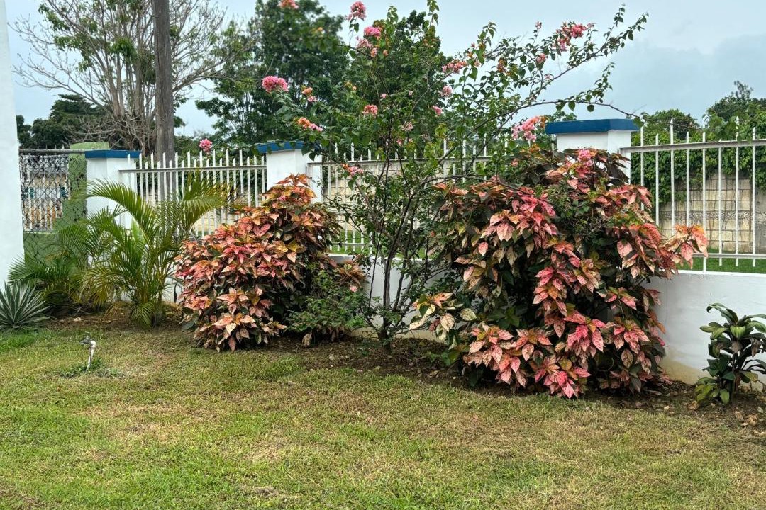 Photo of Others in Savanna la Mar