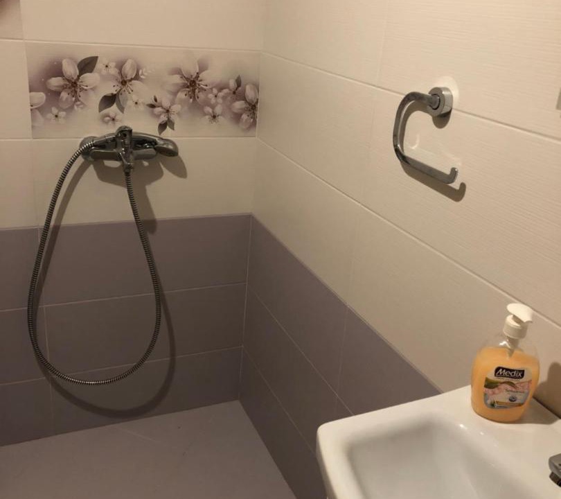 Photo of Bathroom in Sinemoretz