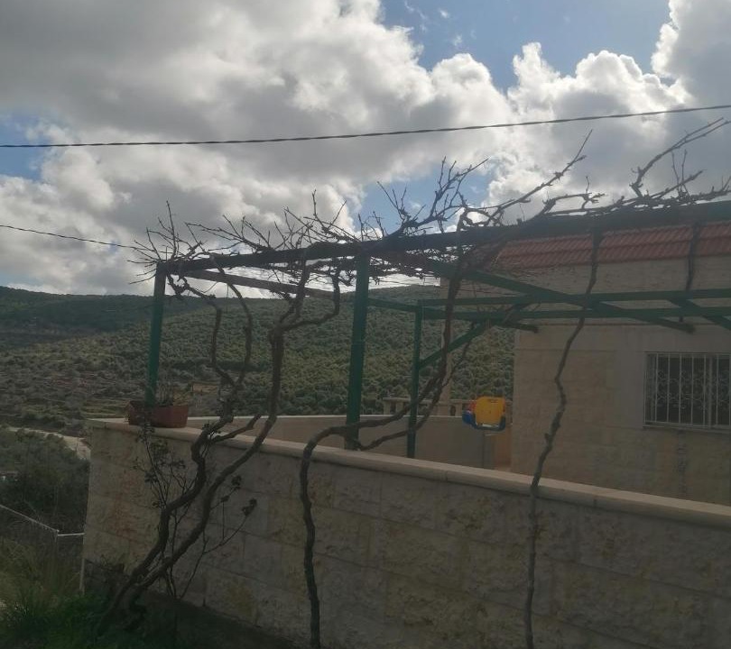 Photo of Others in Ajloun
