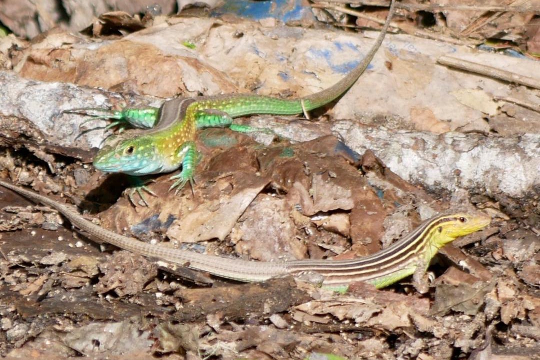 Photo of Outdoor in Santa Marta
