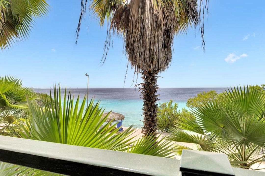 Photo of Others in Playa