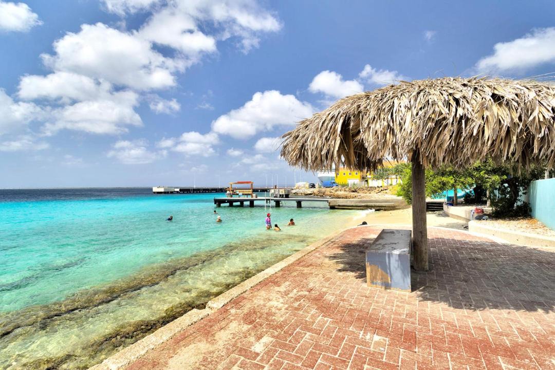 Photo of Others in Playa