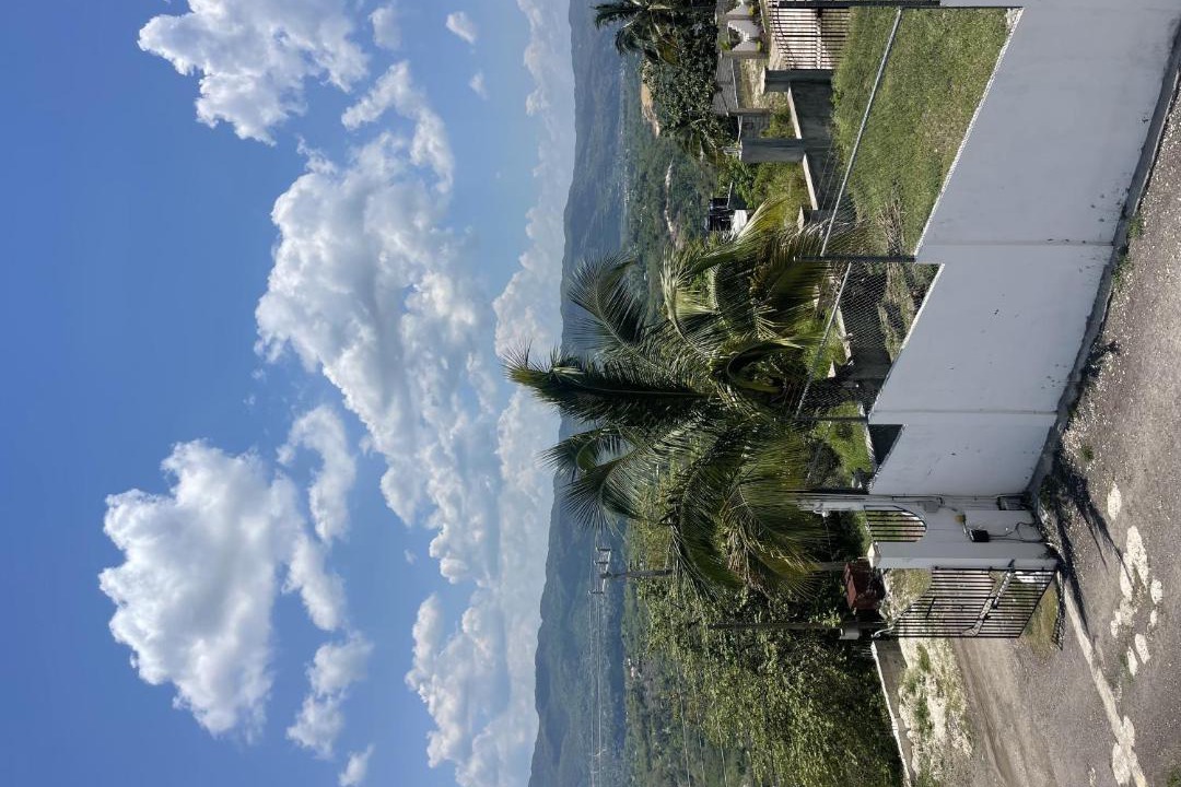 Photo of Others in Montego Bay