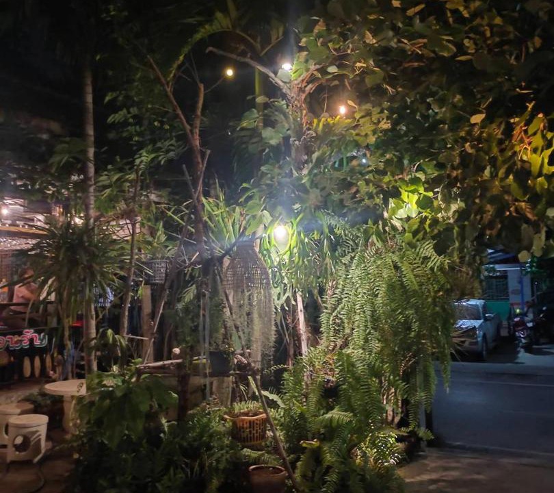 Photo of Others in Nakhon Ratchasima