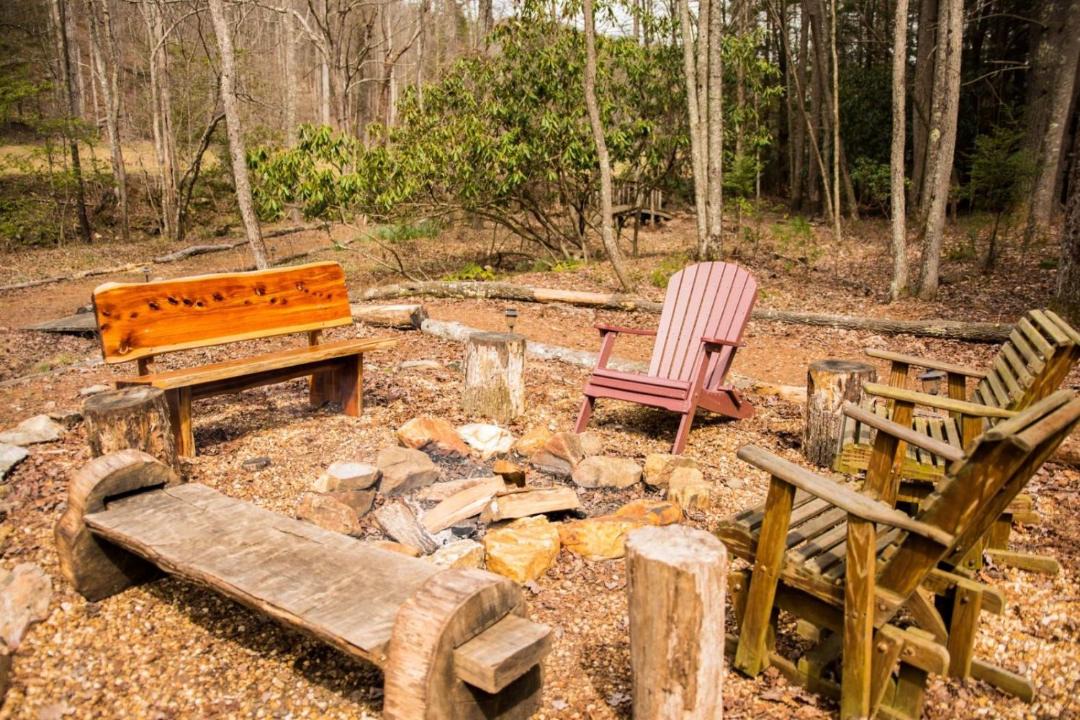 Photo of Others in Cherry Log
