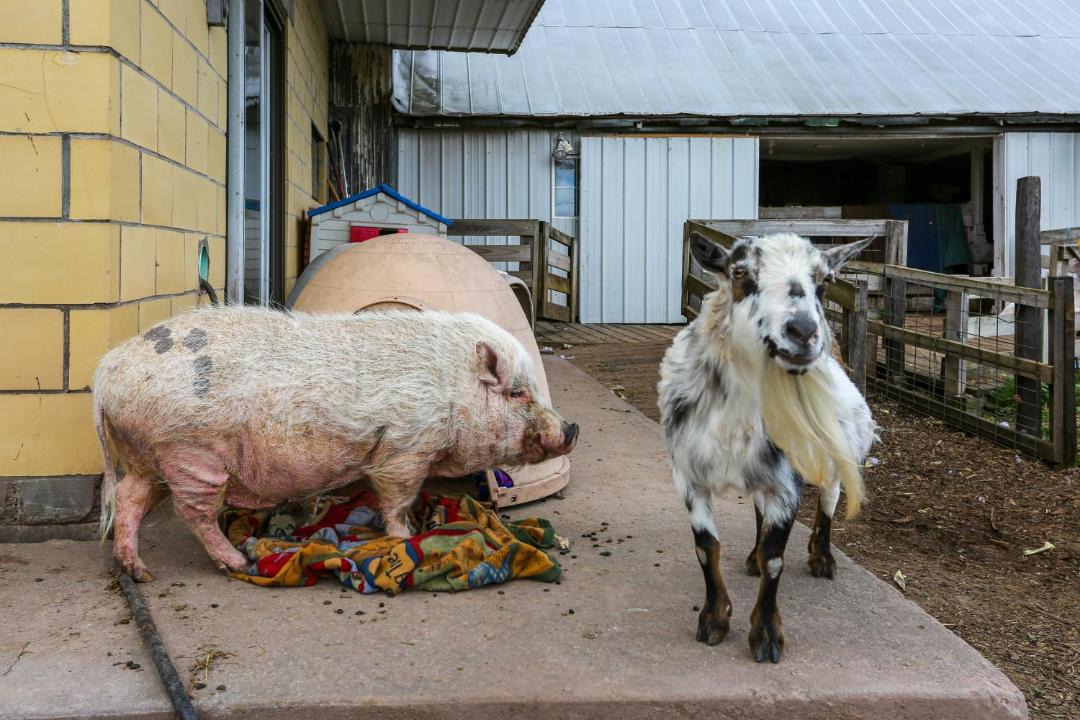 Photo of Others in White Mills