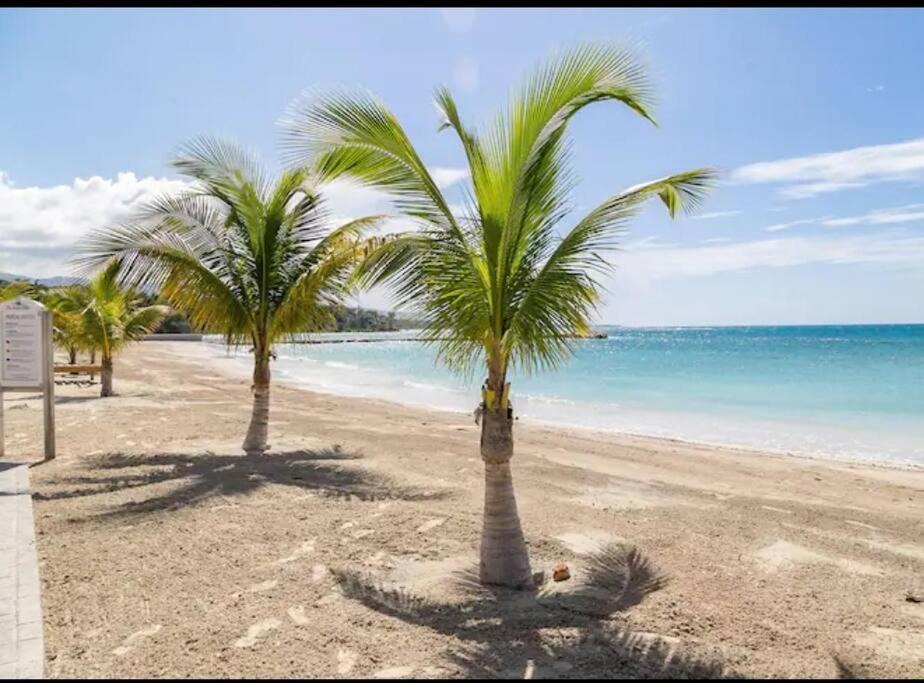 Photo of Others in St. Ann's Bay