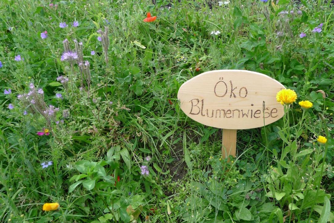 Photo of Others in Heiligenblut