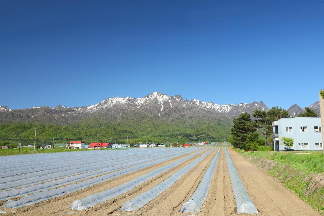 Photo of Others in Furano