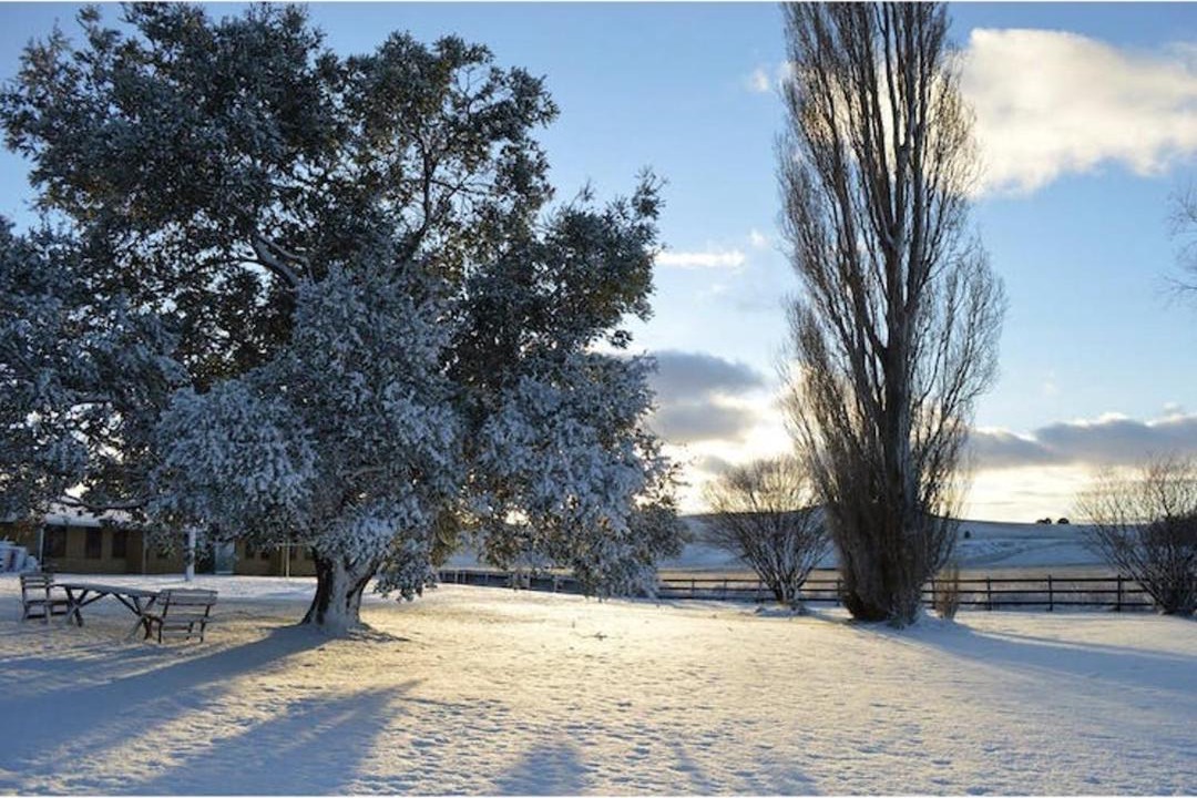 Photo of Others in Adaminaby