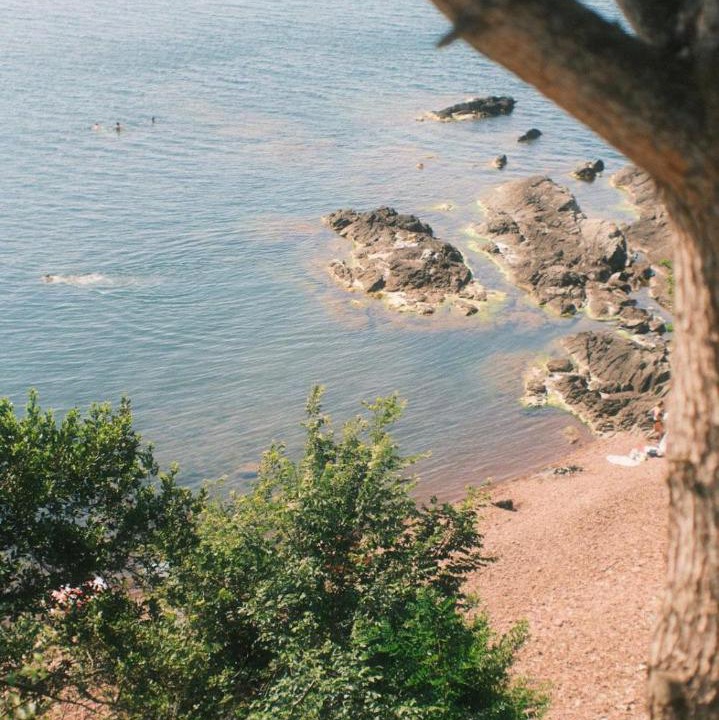Photo of Others in Amasra