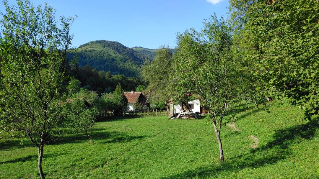 Photo of Others in Ribaritsa