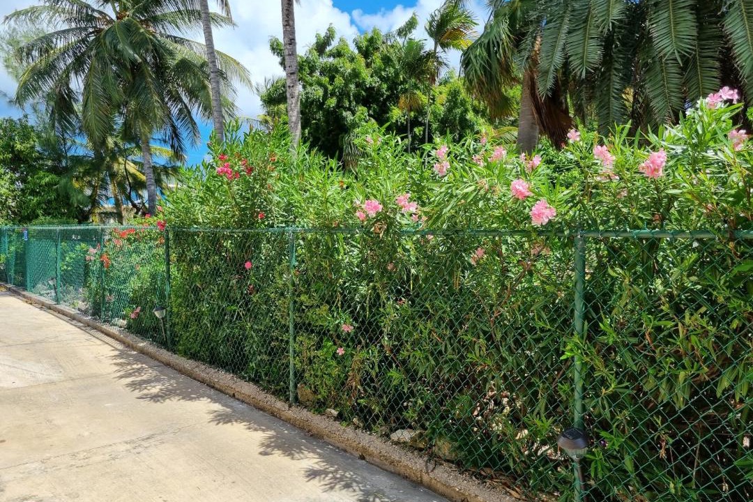 Photo of Outdoor in Enterprise