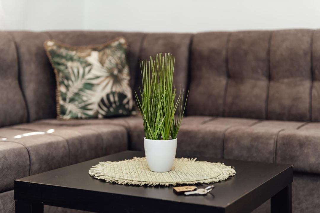 Photo of Livingroom in Sapareva Banya