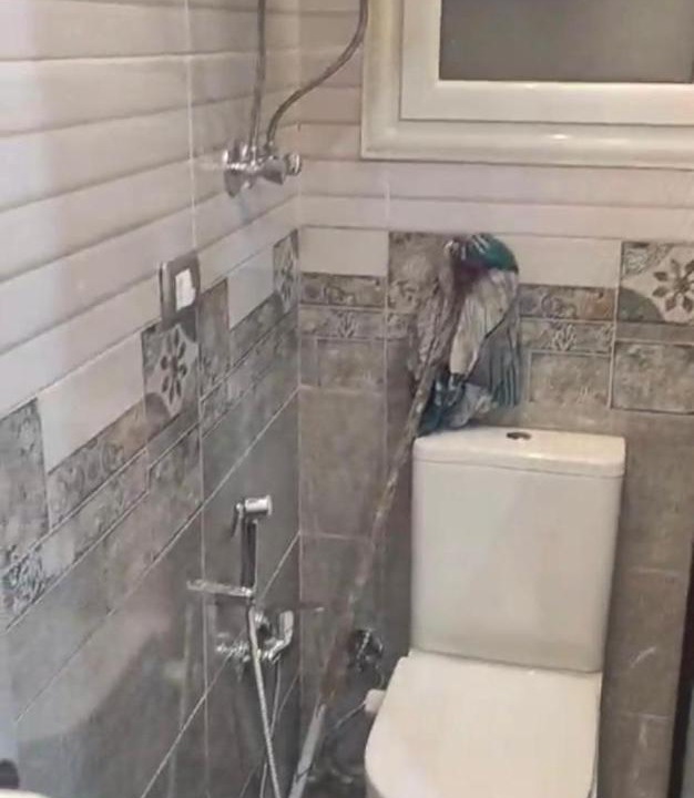 Photo of Bathroom in Al-Basatin