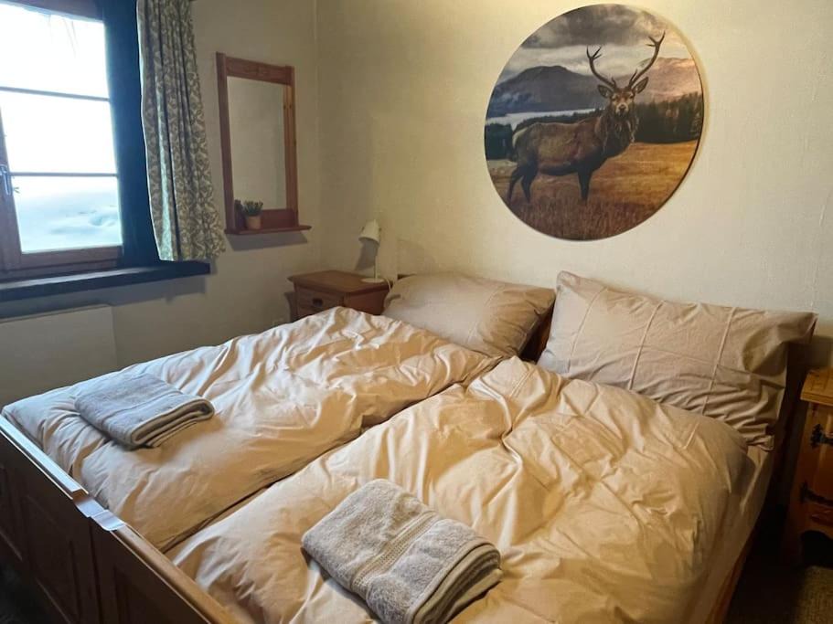 Photo of Bedroom in Davos-Dorf