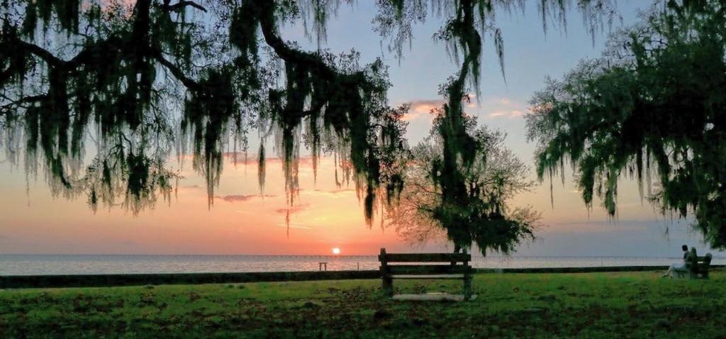 Photo of Others in Mandeville