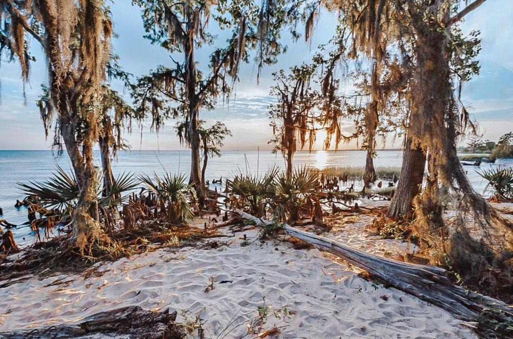 Photo of Others in Mandeville