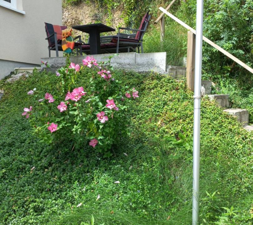 Photo of Others in Oberbuchsiten