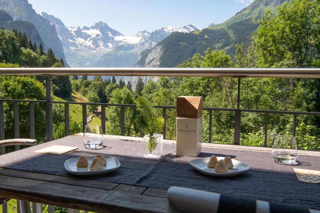 Photo of Patio Balcony in Wengen