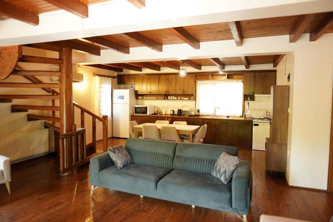 Photo of Livingroom in Sapanca
