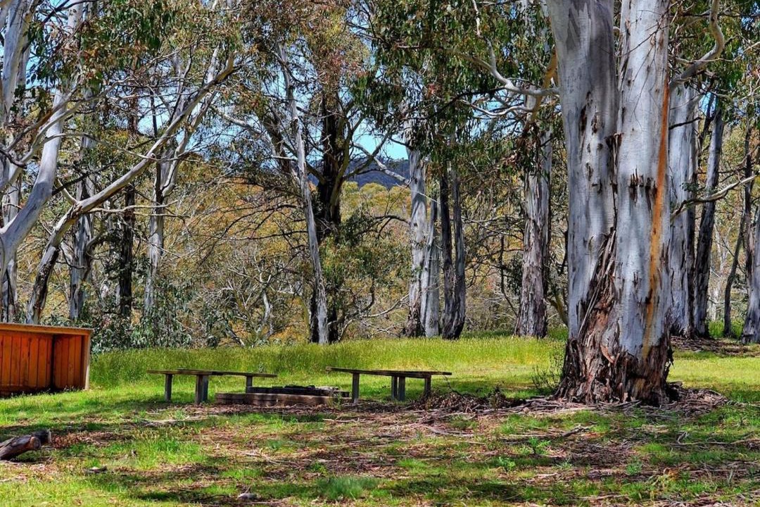 Photo of Buildings in Adaminaby