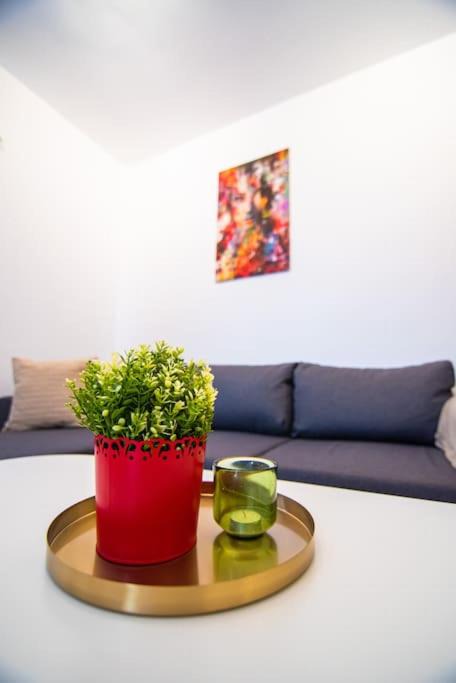 Photo of Livingroom in Stara Zagora