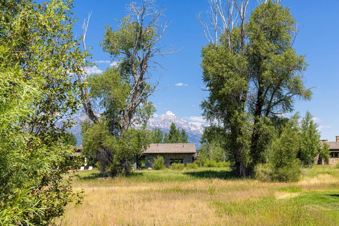 Photo of Others in Jackson Hole